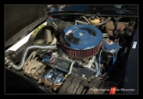 Chevrolet Corvette 1979.DNG-006